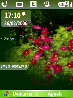 Tulipes_C600_Screenshot.gif
