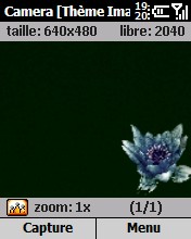 Fleur_Bleue1.jpg