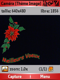 Meilleurs_Voeux_Screenshot.jpg